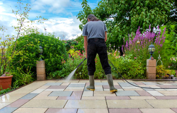 Reliable Alamo, GA Pressure Washing Services Solutions